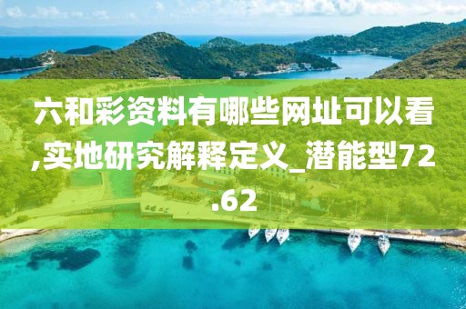 六和彩資料有哪些網址可以看,實地研究解釋定義_潛能型72.62