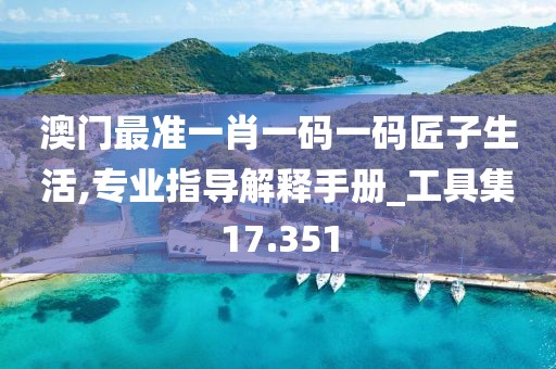 澳門最準一肖一碼一碼匠子生活,專業指導解釋手冊_工具集17.351