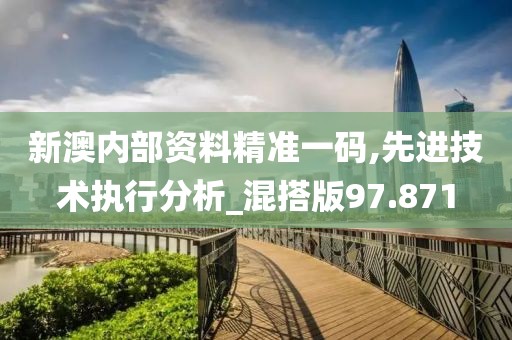 新澳內部資料精準一碼,先進技術執行分析_混搭版97.871
