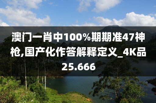 澳門一肖中100%期期準47神槍,國產化作答解釋定義_4K品25.666