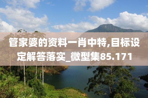 管家婆的資料一肖中特,目標設定解答落實_微型集85.171