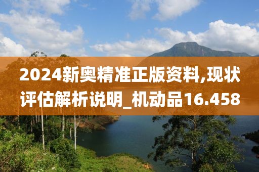 2024新奧精準正版資料,現狀評估解析說明_機動品16.458