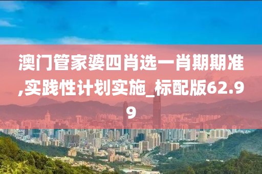 澳門管家婆四肖選一肖期期準,實踐性計劃實施_標配版62.99
