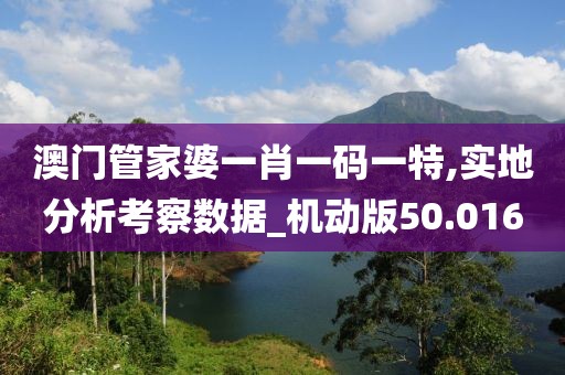 澳門管家婆一肖一碼一特,實地分析考察數據_機動版50.016