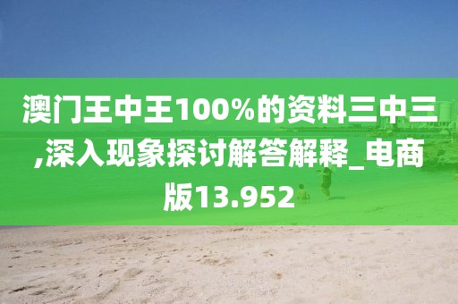 澳門王中王100%的資料三中三,深入現象探討解答解釋_電商版13.952