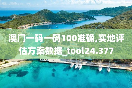 澳門一碼一碼100準確,實地評估方案數據_tool24.377