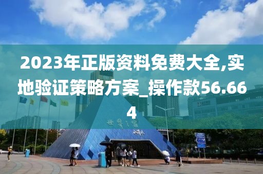 2023年正版資料免費大全,實地驗證策略方案_操作款56.664