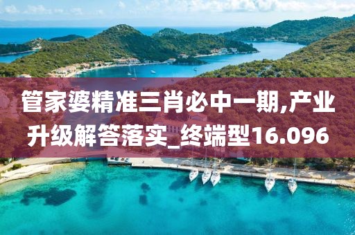 管家婆精準三肖必中一期,產業升級解答落實_終端型16.096