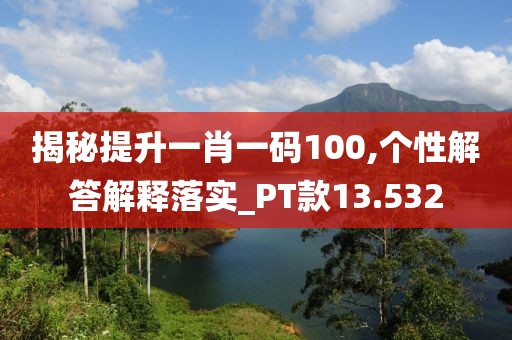 揭秘提升一肖一碼100,個性解答解釋落實_PT款13.532