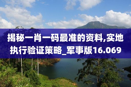 揭秘一肖一碼最準的資料,實地執行驗證策略_軍事版16.069
