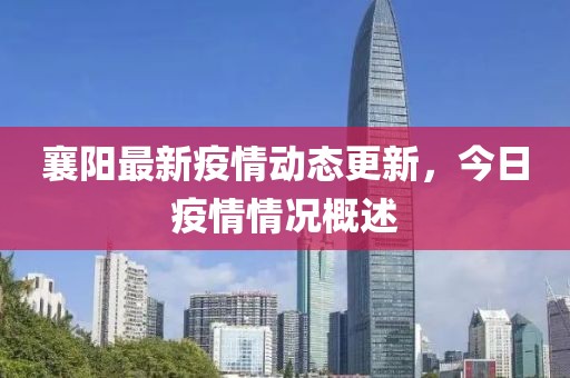 襄陽最新疫情動態更新，今日疫情情況概述