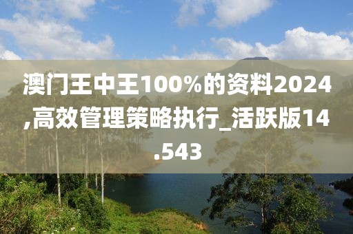 澳門王中王100%的資料2024,高效管理策略執行_活躍版14.543