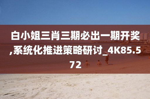 白小姐三肖三期必出一期開獎,系統化推進策略研討_4K85.572