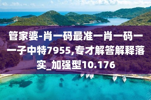 管家婆-肖一碼最準一肖一碼一一子中特7955,專才解答解釋落實_加強型10.176