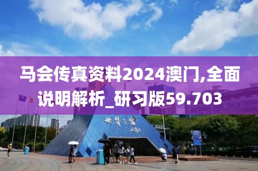 馬會傳真資料2024澳門,全面說明解析_研習版59.703