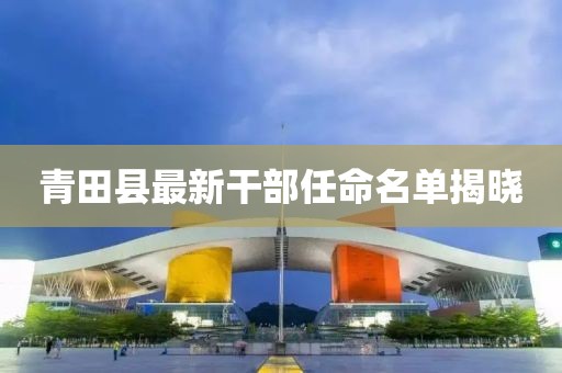 青田縣最新干部任命名單揭曉