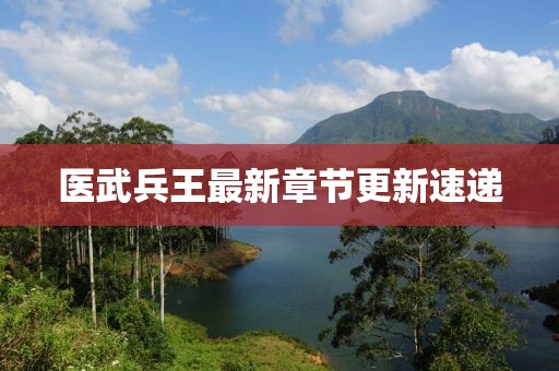 醫武兵王最新章節更新速遞