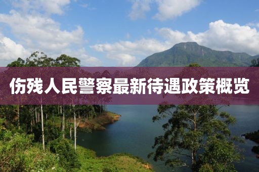 傷殘人民警察最新待遇政策概覽
