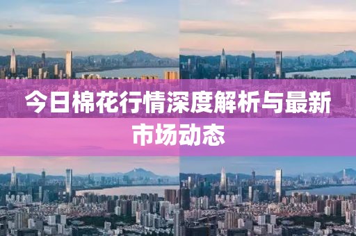 今日棉花行情深度解析與最新市場動態