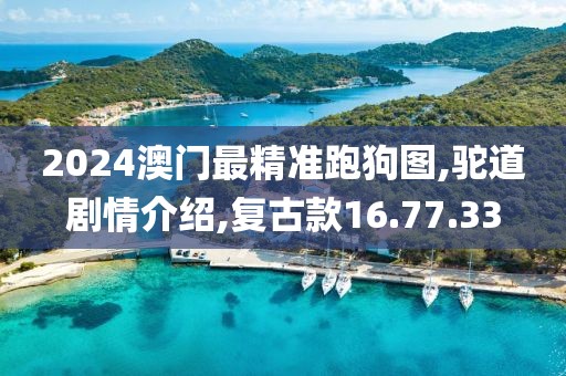 2024澳門最精準跑狗圖,駝道劇情介紹,復古款16.77.33