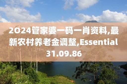 2O24管家婆一碼一肖資料,最新農村養老金調整,Essential31.09.86