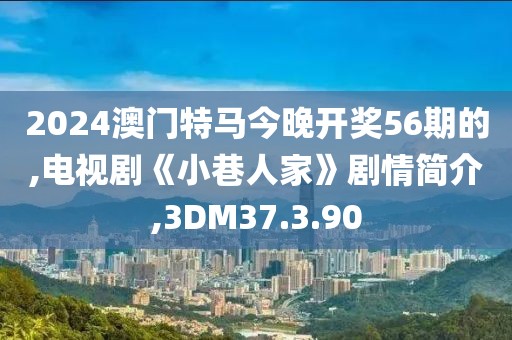 2024澳門特馬今晚開獎56期的,電視劇《小巷人家》劇情簡介,3DM37.3.90