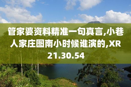 管家婆資料精準一句真言,小巷人家莊圖南小時候誰演的,XR21.30.54