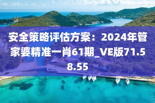 安全策略評估方案：2024年管家婆精準一肖61期_VE版71.58.55