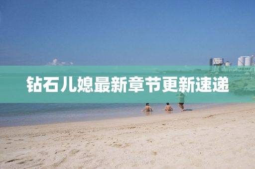 鉆石兒媳最新章節更新速遞