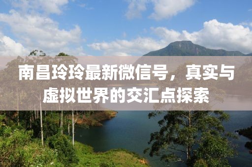 南昌玲玲最新微信號，真實與虛擬世界的交匯點探索
