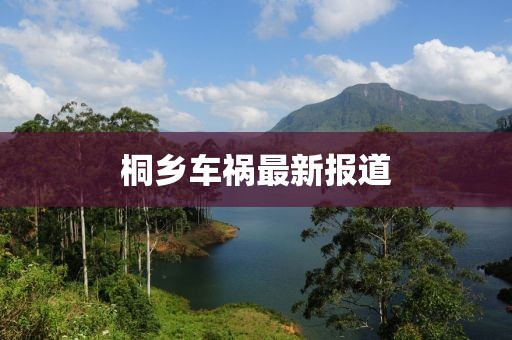 桐鄉車禍最新報道