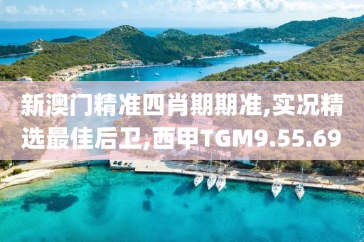 新澳門精準四肖期期準,實況精選最佳后衛,西甲TGM9.55.69