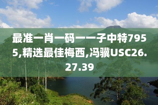 最準一肖一碼一一子中特7955,精選最佳梅西,馮驥USC26.27.39