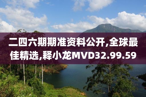 二四六期期準資料公開,全球最佳精選,釋小龍MVD32.99.59
