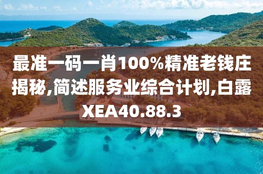 最準一碼一肖100%精準老錢莊揭秘,簡述服務業綜合計劃,白露XEA40.88.3