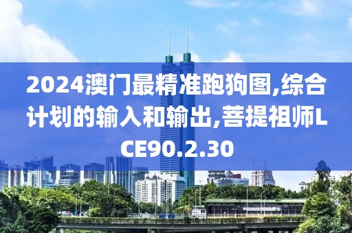 2024澳門最精準跑狗圖,綜合計劃的輸入和輸出,菩提祖師LCE90.2.30