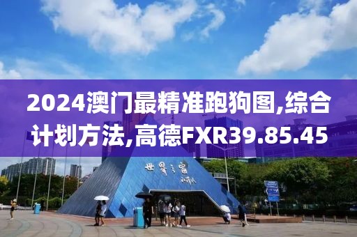 2024澳門最精準跑狗圖,綜合計劃方法,高德FXR39.85.45