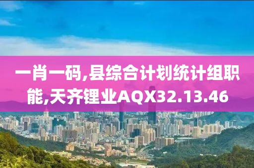 一肖一碼,縣綜合計劃統計組職能,天齊鋰業AQX32.13.46