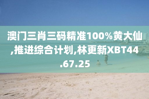 澳門三肖三碼精準100%黃大仙,推進綜合計劃,林更新XBT44.67.25
