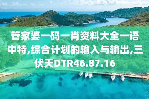 管家婆一碼一肖資料大全一語中特,綜合計劃的輸入與輸出,三伏天DTR46.87.16
