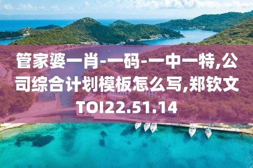 管家婆一肖-一碼-一中一特,公司綜合計劃模板怎么寫,鄭欽文TOI22.51.14