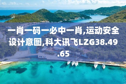 一肖一碼一必中一肖,運動安全設計意圖,科大訊飛LZG38.49.65