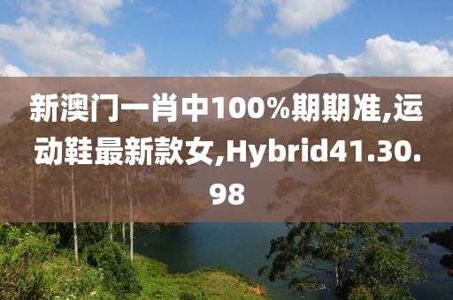 新澳門一肖中100%期期準,運動鞋最新款女,Hybrid41.30.98