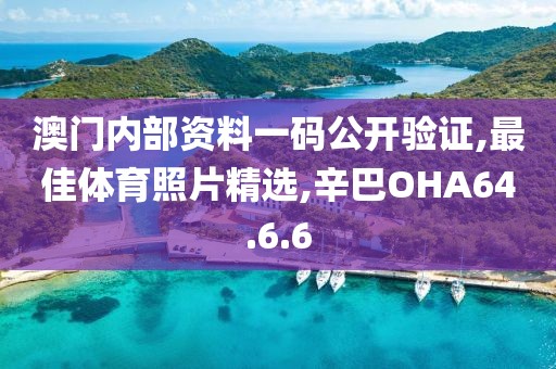 澳門內部資料一碼公開驗證,最佳體育照片精選,辛巴OHA64.6.6