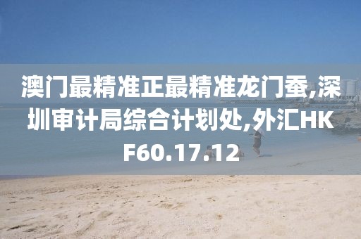 澳門最精準正最精準龍門蠶,深圳審計局綜合計劃處,外匯HKF60.17.12