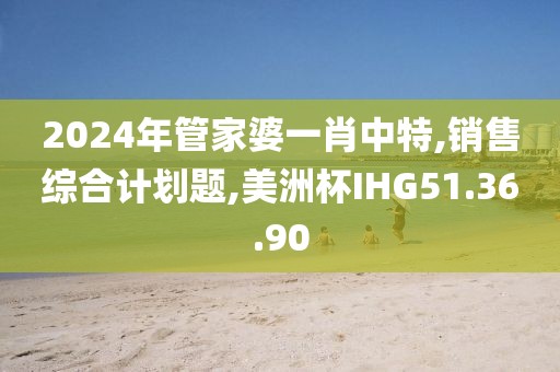 2024年管家婆一肖中特,銷售綜合計劃題,美洲杯IHG51.36.90