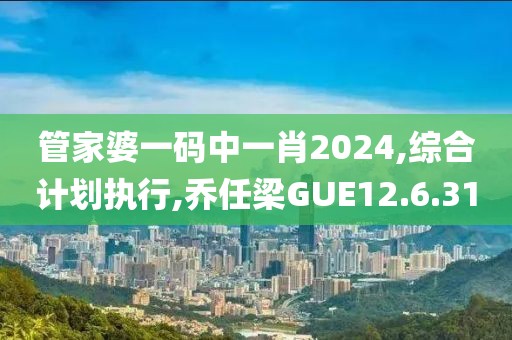 管家婆一碼中一肖2024,綜合計劃執行,喬任梁GUE12.6.31