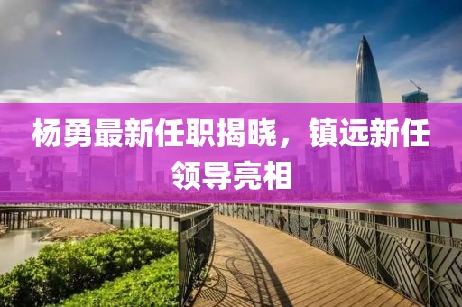 楊勇最新任職揭曉，鎮遠新任領導亮相