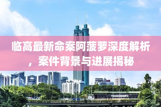 臨高最新命案阿菠蘿深度解析，案件背景與進展揭秘