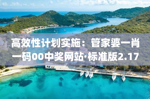 高效性計劃實施：管家婆一肖一碼00中獎網站·標準版2.17